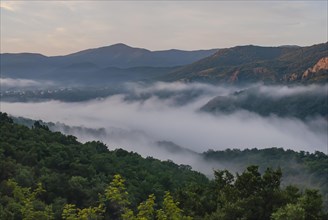 Morning fog in Kovan Kaja National Park near Madzarovo