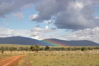 View on a safari