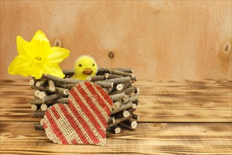 Chick in a wooden nest with a linen heart and daffodil blossom