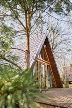 A-frame wooden chalet with a blurred pine tree on foreground