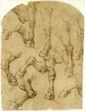 Sketches of horse legs or dromedary legs