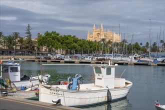 Fishing boats and sailboats in the harbour of Palma de Majorca