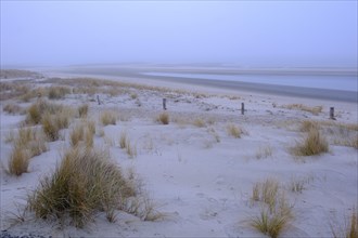 Wadden Sea National Park with fog