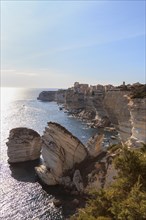 Bonifacio with its limestone cliffs in the foreground