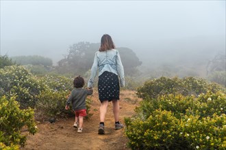 Mother and son walking next to a Sabinar tree twisted by the wind in El Hierro. Canary Islands