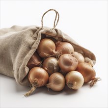 Old sack with onions