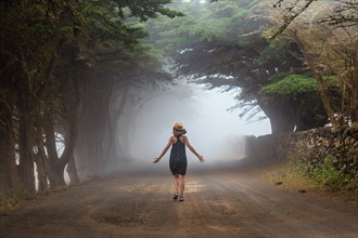 A tourist woman walking through foggy trees towards the juniper forest in El Hierro. Canary Islands