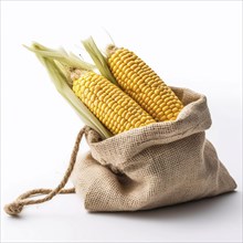 Old sack of corn