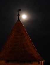 Weather vane on the roof of a historic building in front of a milky full moon