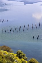 Lake Butrint