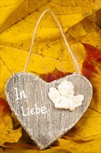 Wooden Heart on Autumn Leaves