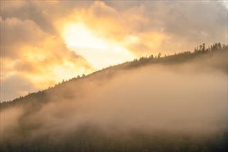 Sunrise with fog