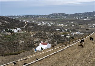 View over stony dry hills of Mykonos Island with small white and red chapel