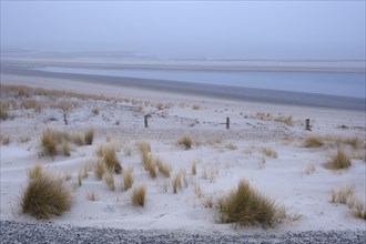 Wadden Sea National Park with fog