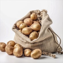 Old sack with potatoes