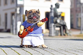 French Bulldog dog dressed up as street performer musician wearing a funny costume with striped shirt and fake arms holding a toy guitar standing in city on sunny day
