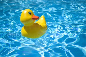 Yellow rubber duck in pool