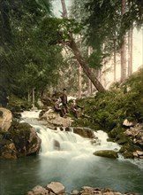 The Ilse Waterfalls in the Harz Mountains near Ilsenburg
