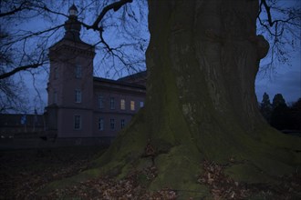 Schloss Gracht half hidden behind an old big tree at dusk