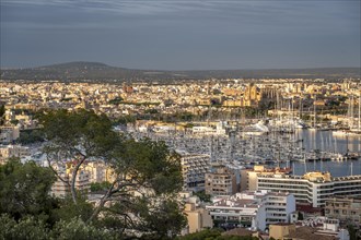 View over Palma de Majorca in the evening light