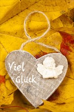 Wooden Heart on Autumn Leaves