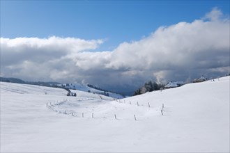 Schauinsland