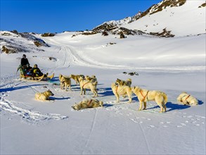 Inuit and two tourists with his dog sled team