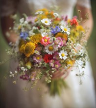 A colourful bouquet of wild flowers