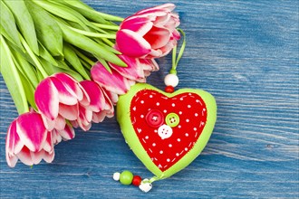 Tulips on blue background and heart with buttons