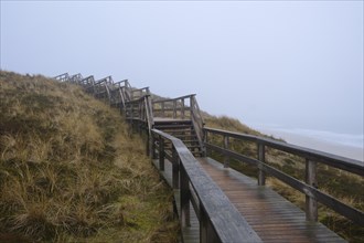 Wooden footbridge and stairs through the dunes