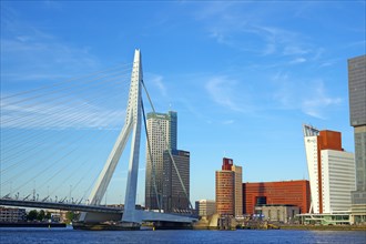 Futuristic skyscrapers and part of the Erasmus Bridge