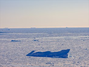 Iceberg frozen in pack ice