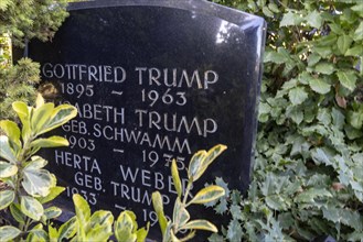 Cemetery with gravestone Trump