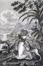 Revolt of the black slaves in the French colony of Saint-Domingue