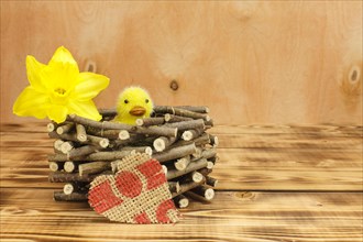 Chick in a wooden nest with a linen heart and daffodil blossom