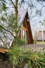 Selective focus photo of blurred A-frame wooden chalet with a pine tree on foreground
