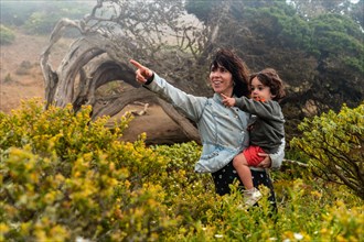 Mother and son looking at the flowers next to a Sabinar tree twisted by the wind of El Hierro and foggy. Canary Islands