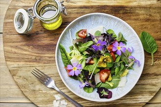 Green spring salad with flowers arranged on a plate