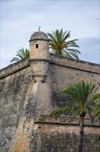 Fortress wall with tower