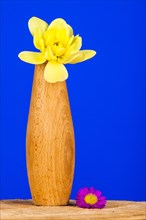 Wooden Vase with Daffodil and Aster Blossom