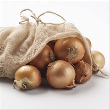 Old sack with onions