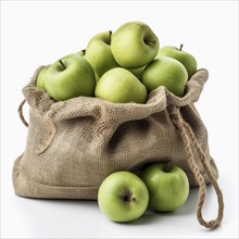 Old sack of apples
