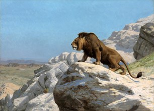 Lion keeping watch on a rock
