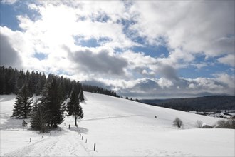 Winter landscape