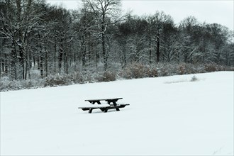 Table with bench in the middle of a snowy meadow with a dark forest in the background