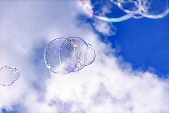 Soap bubbles with their colors and transparencies floating in the blue sky