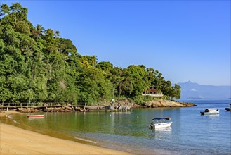 Paradisiacal beach with the meeting of the rainforest and the ocean on Ilha Grande