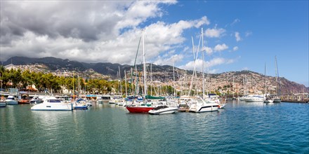 Marina harbour with boats in Funchal Panorama on Madeira Island