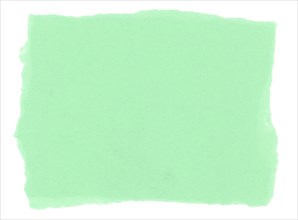 Green blank paper parchment label isolated over white