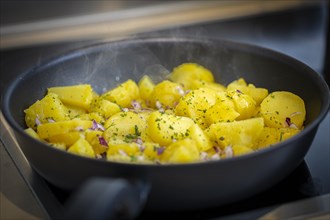 Delicious fried potatoes braise in a pan